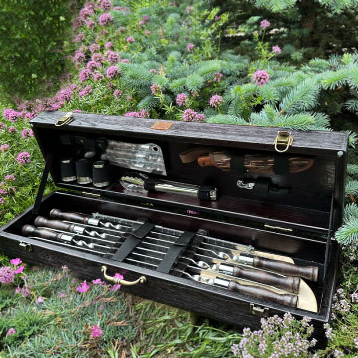 Набор для шашлыка в чемодане Лось BS81